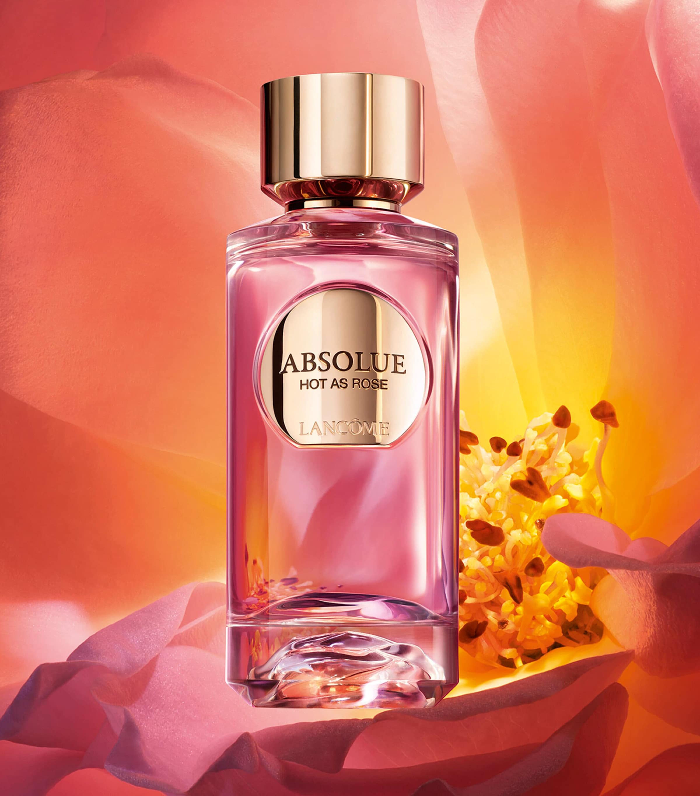 Absolue Hot As Rose Eau de Parfum (100ml) NO COLOUR Image 3