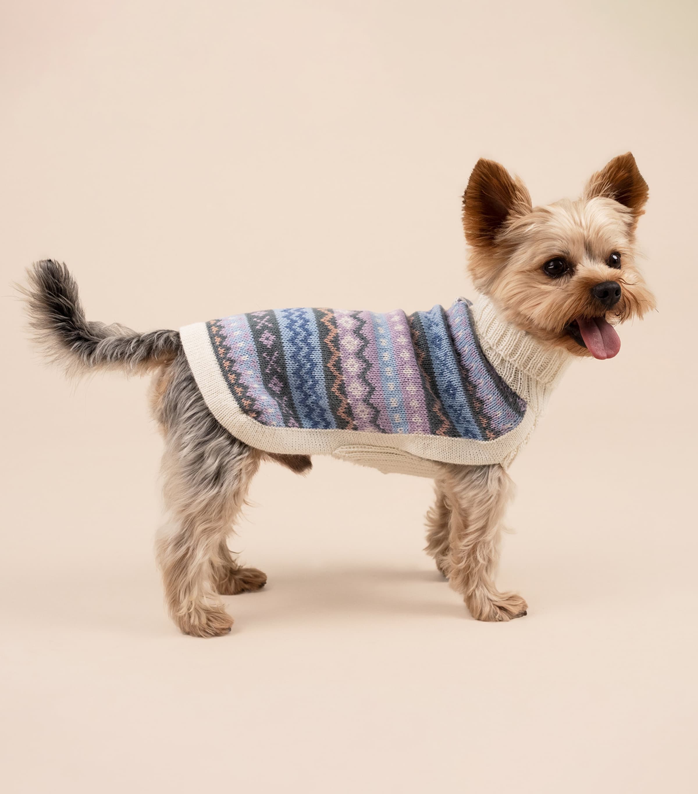 ALQO WASI Alpaca-Blend Cloudform Dog Sweater (Medium) Cloudform Image 9