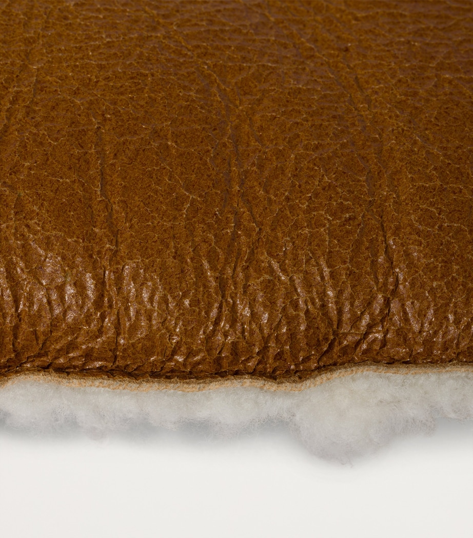 Shearling Mittens F036S Image 2