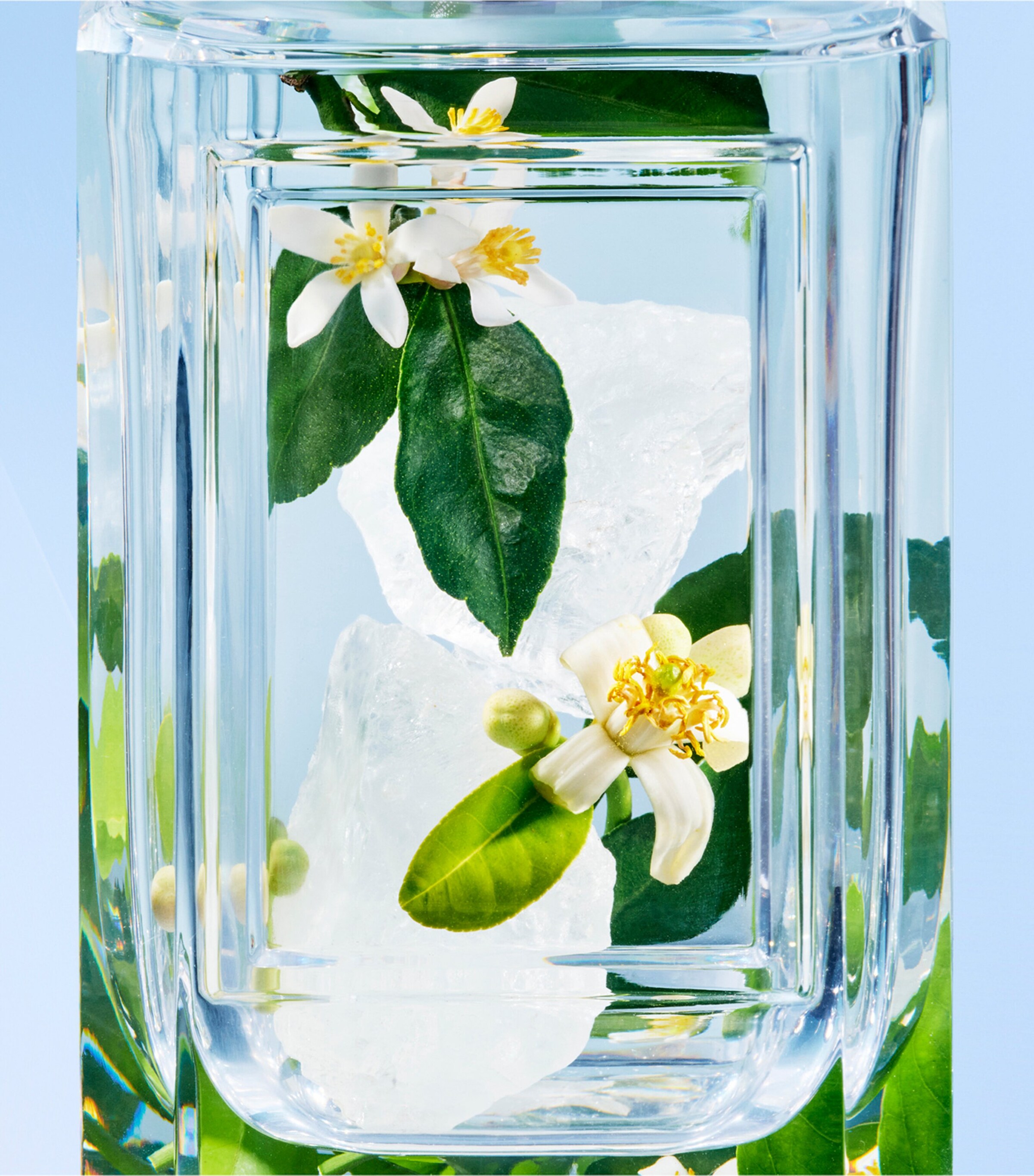 Olfactory Un Chant d'Amou (100ml) NO COLOUR Image 5