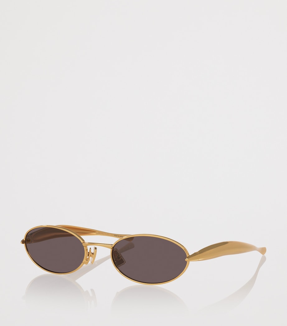 Oval Sardine Sunglasses 2300L1 Image 2