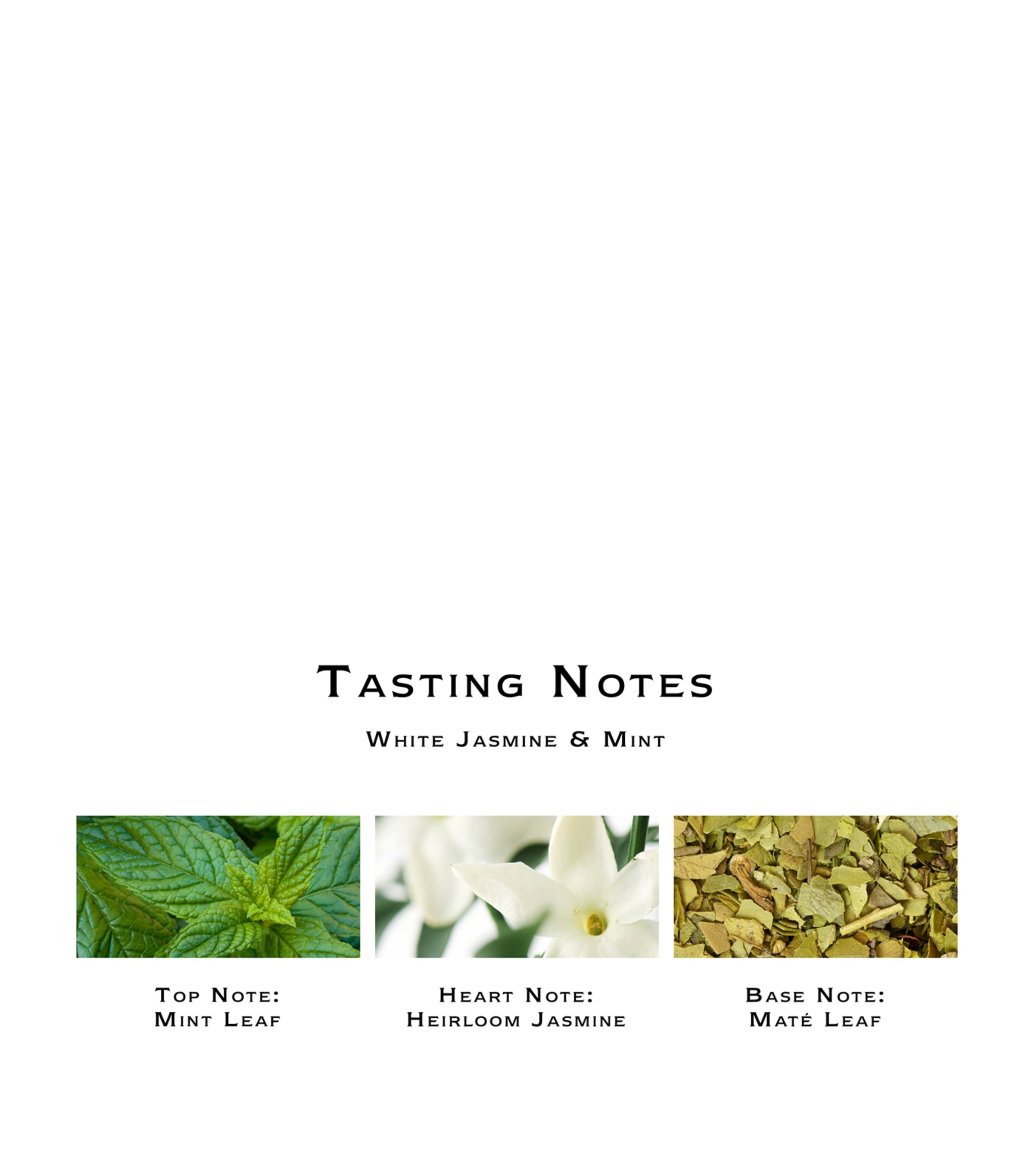 White Jasmine & Mint Cologne (100ml) NO COLOUR Image 2