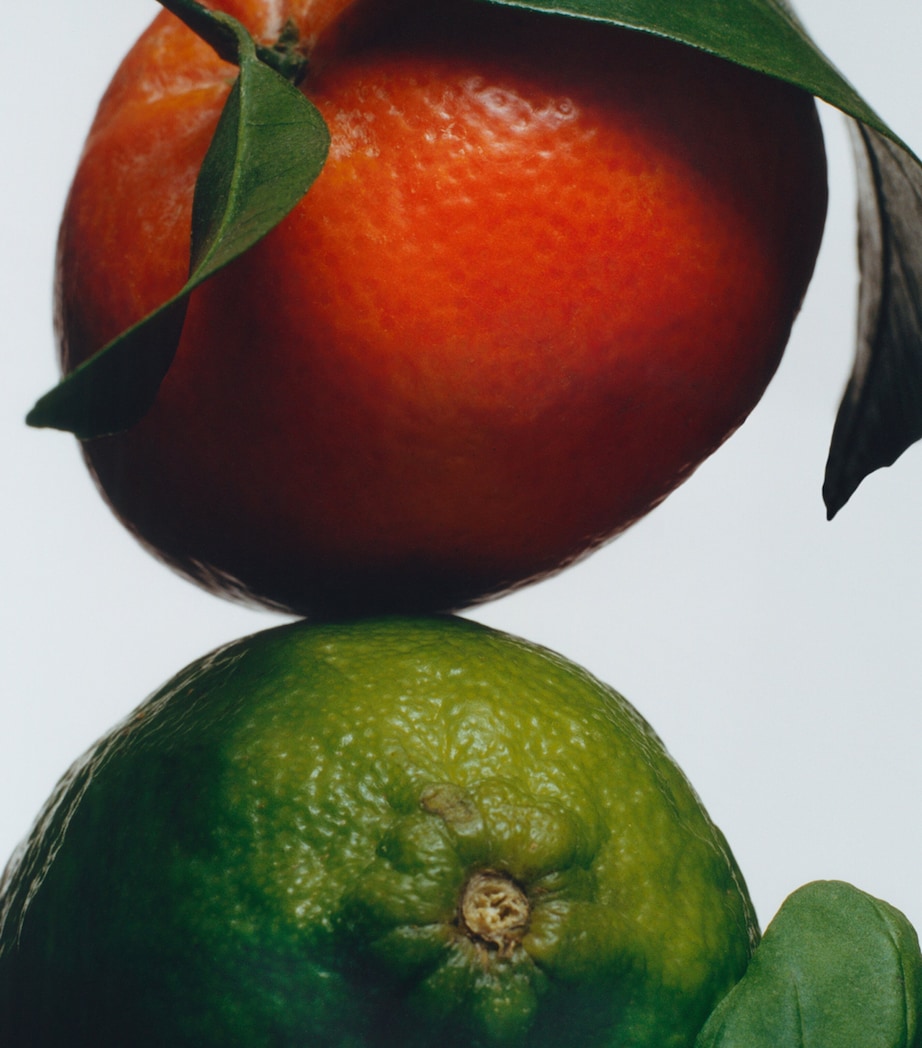 Lime Basil & Mandarin Conditioner (250ml) NO COLOUR Image 3