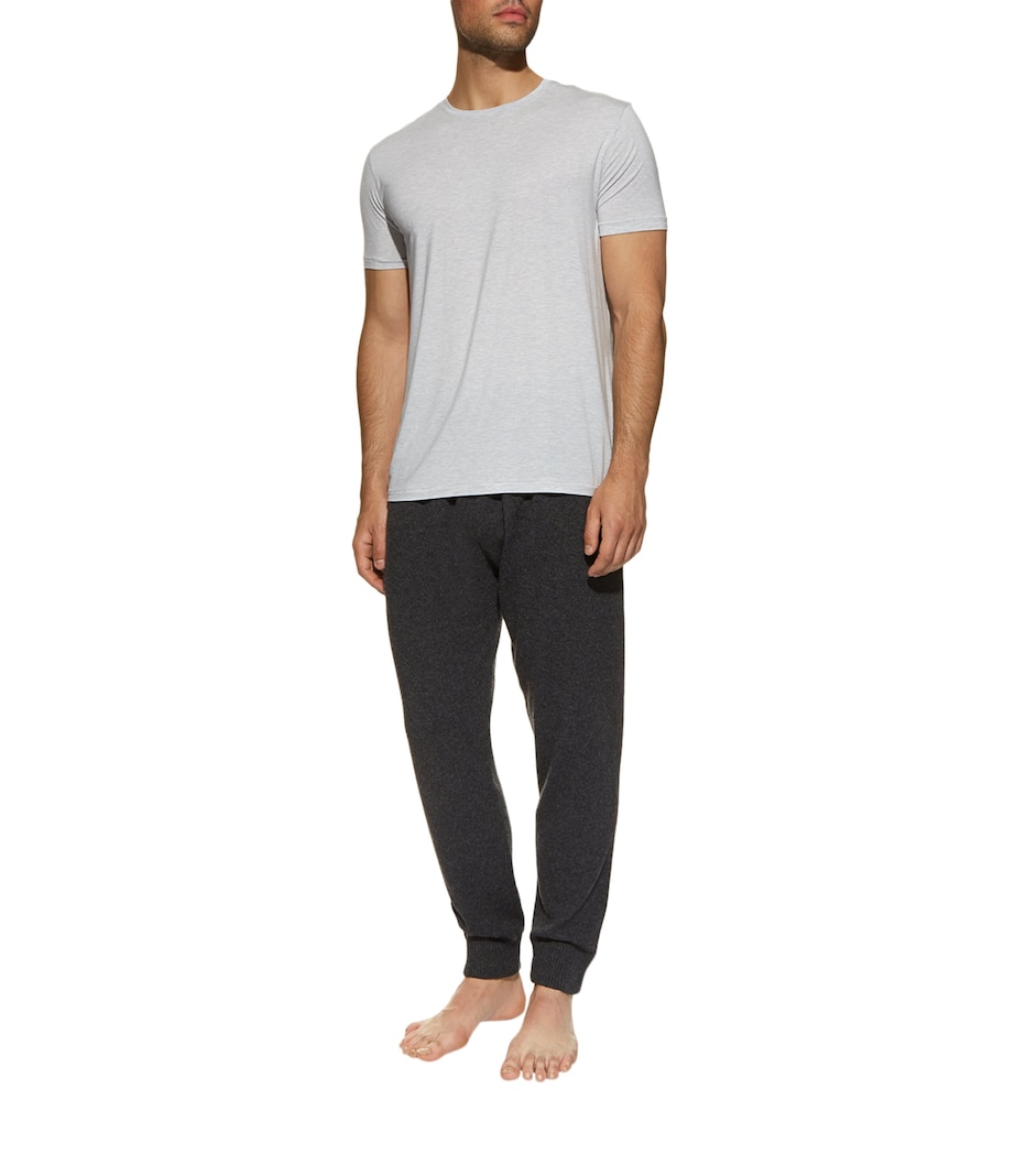 Ethan Modal T-Shirt SILVER Image 2