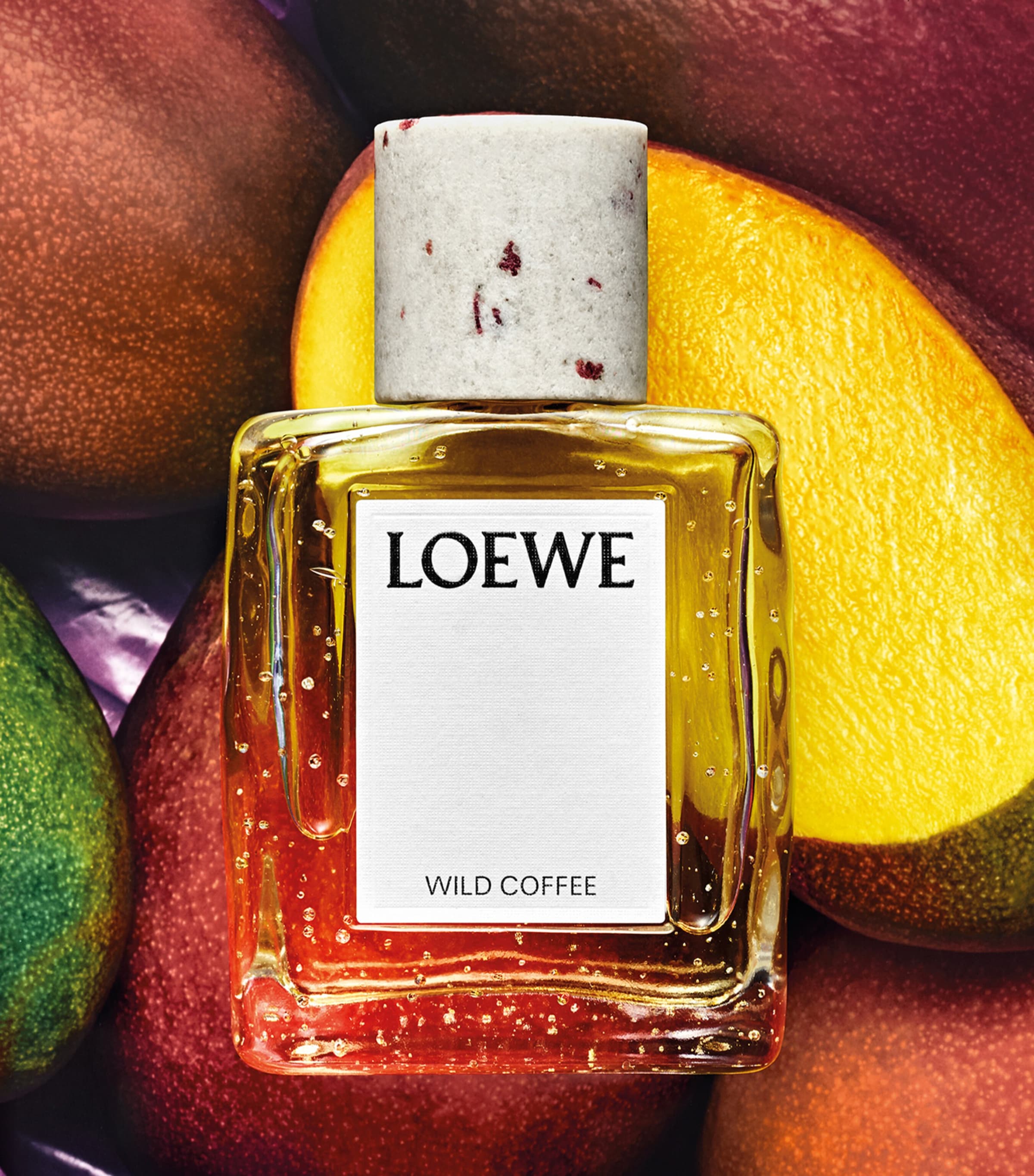 LOEWE Wild Coffee Eau de Parfum (100ml) Image 5