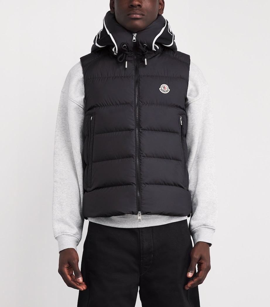 Cardamine Hooded Gilet 999 Image 3