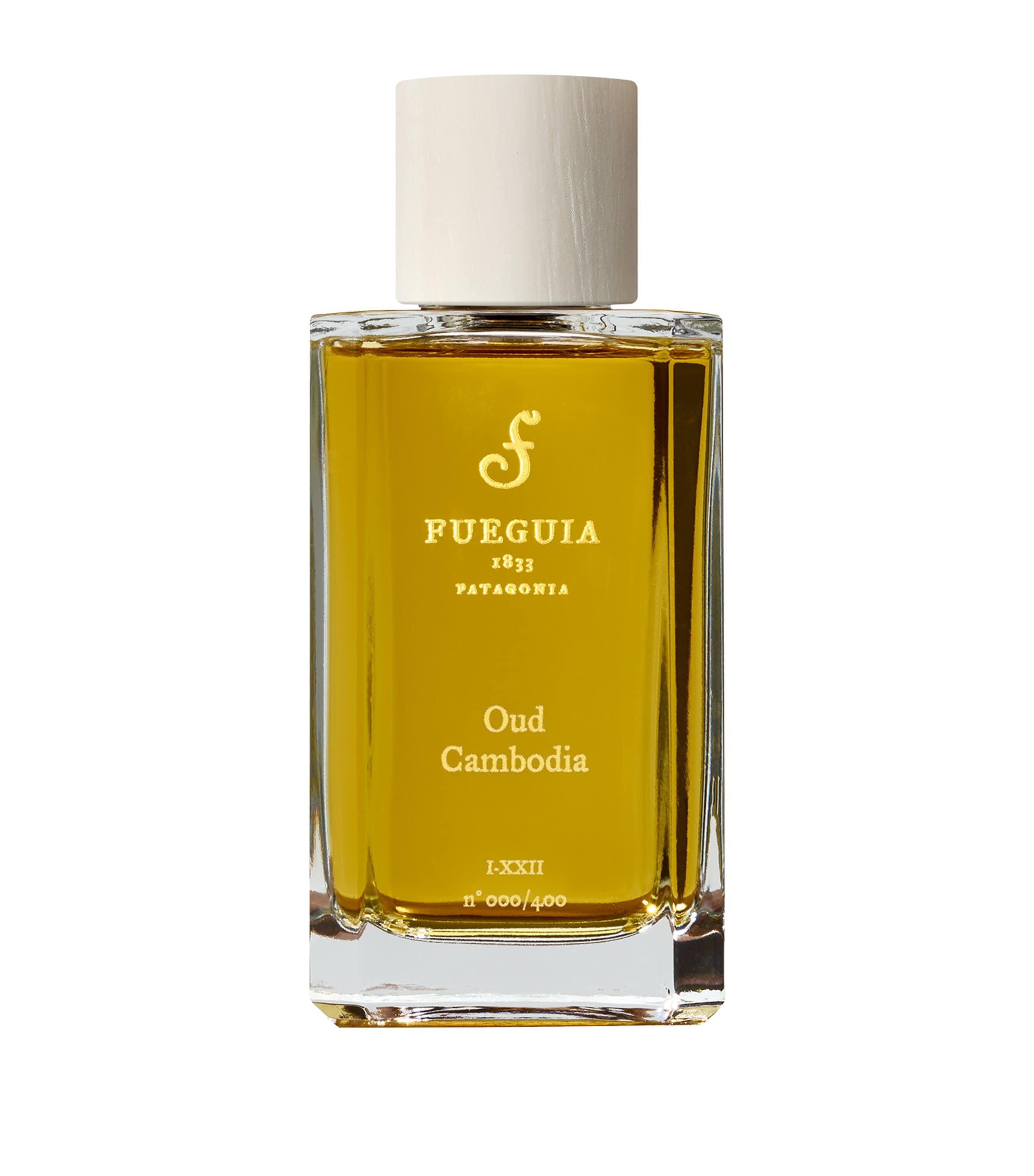 Fueguia 1833 Oud Cambodia Perfume (100ml) Image 1
