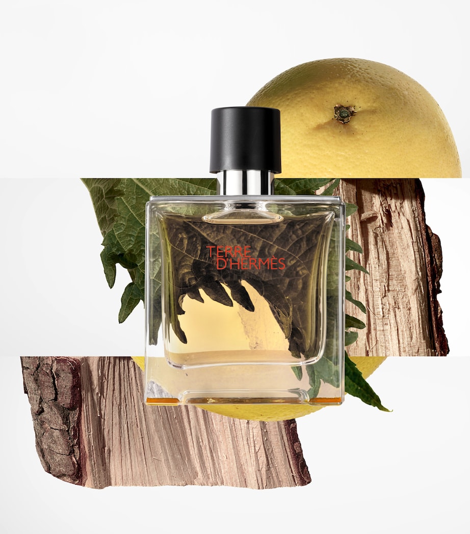 Terre d’Hermès Pure Perfume Gift Set (75ml) NO COLOUR Image 3