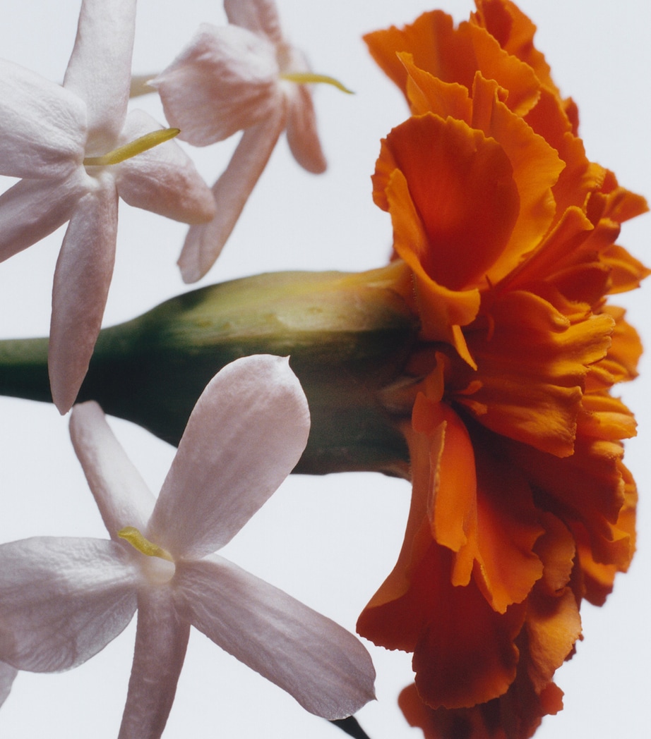 Jasmine Sambac & Marigold Intense Classic Candle (200g) NO COLOUR Image 3