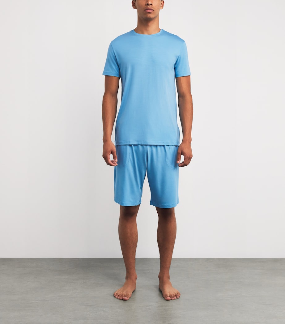 Micromodal T-Shirt 021 BLUE Image 2
