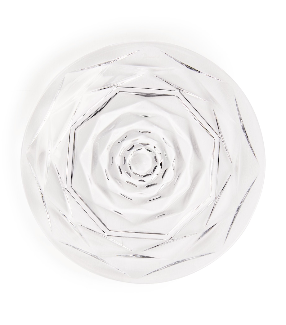 Swing Plate (13cm) CLEAR Image 3