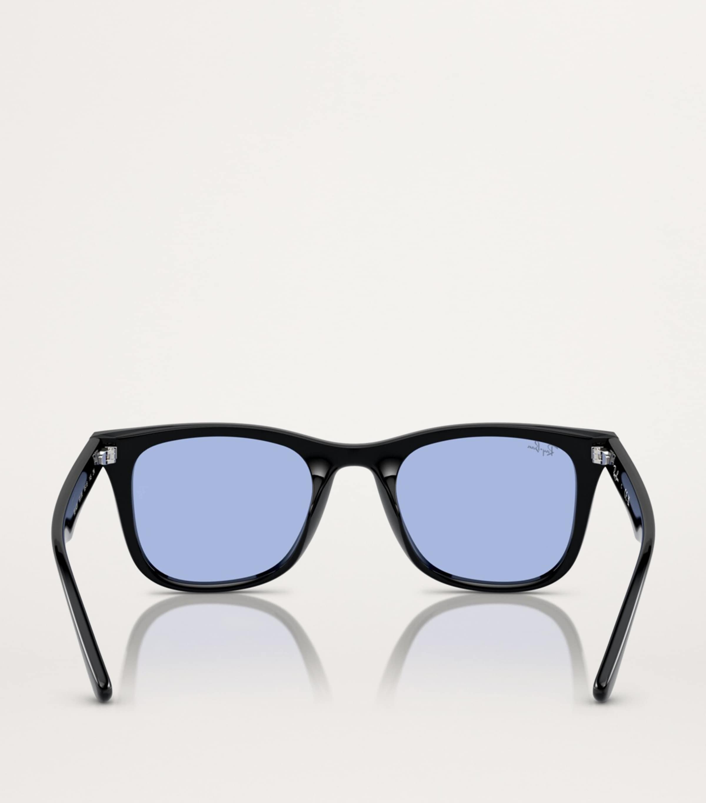 Injected RB4420 Sunglasses 601/80 Image 4