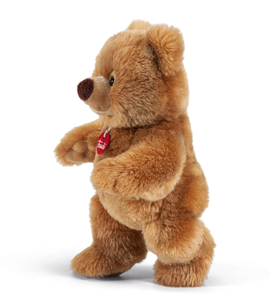 Medium Bear Ettore (38cm) MULTI Image 4