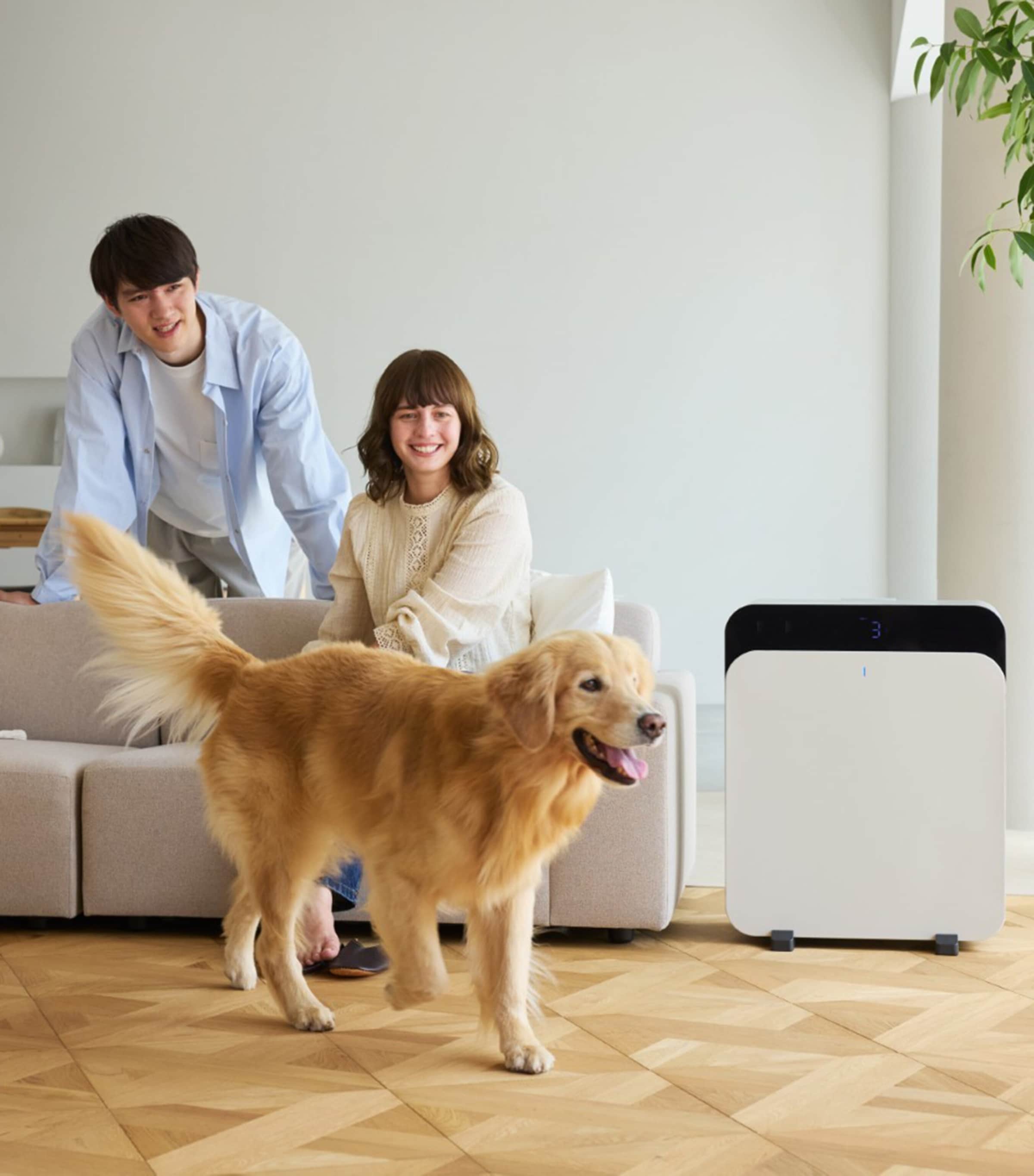 Classic Pro CP7i Air Purifier WHITE Image 4