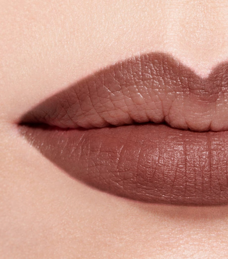 LE CRAYON LÈVRES RENOVATION Longwear Lip Pencil NUDE BRUN Image 3