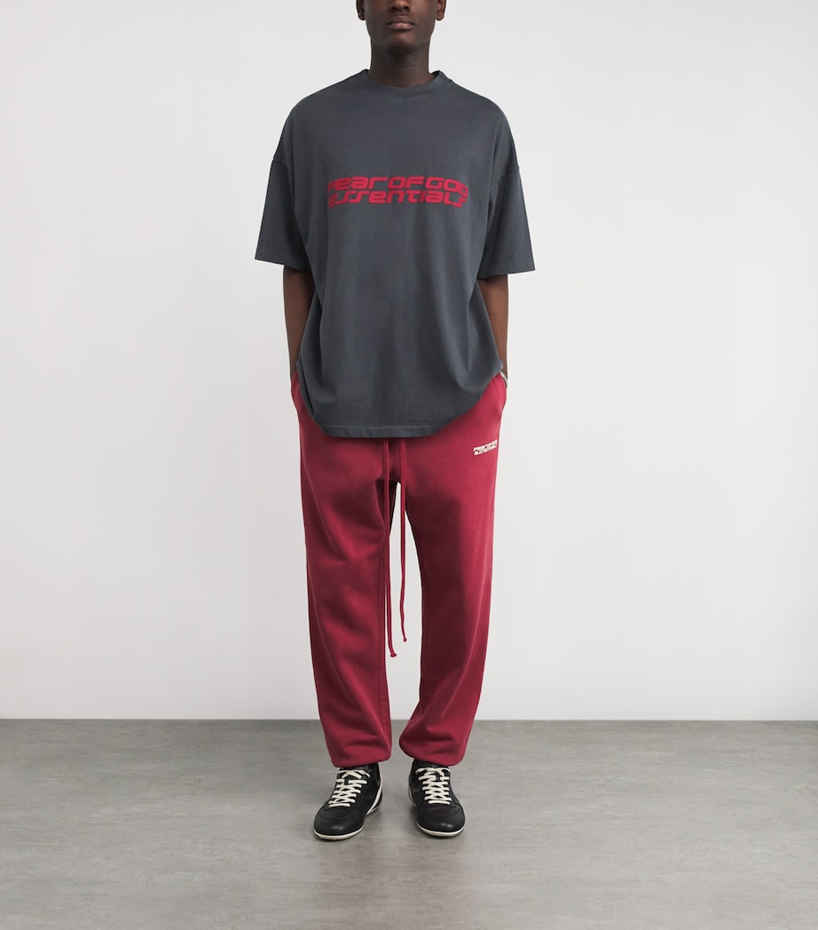 Cotton Oversized Logo T-Shirt IRON GREY Image 2