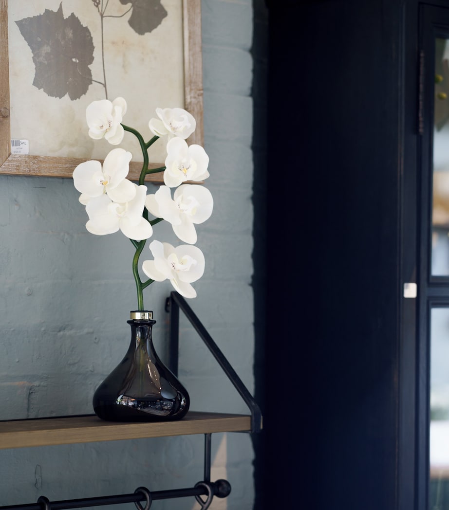 The Orchid Amber and Oud Diffuser (250ml) BRONZE Image 4