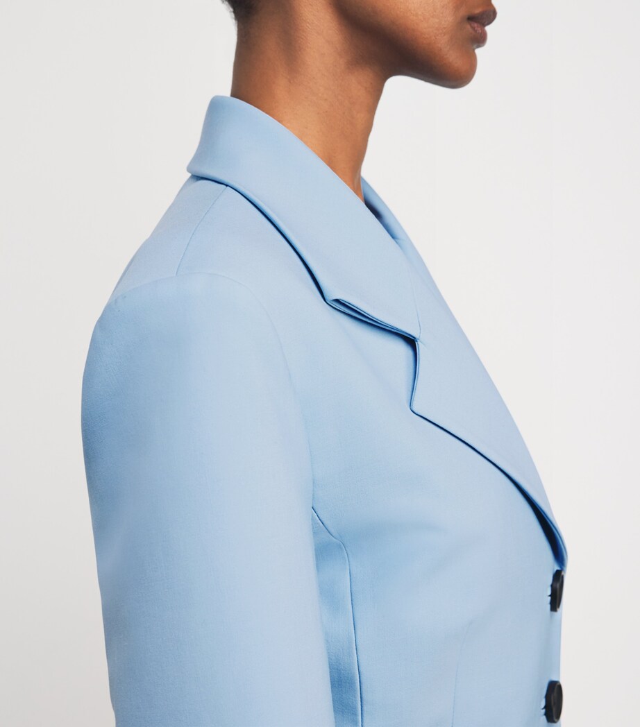 Single-Breasted Blazer DUCK EGG Image 6