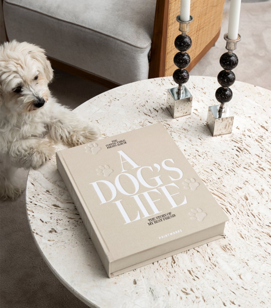 A Dog's Life Photo Album BEIGE Image 4