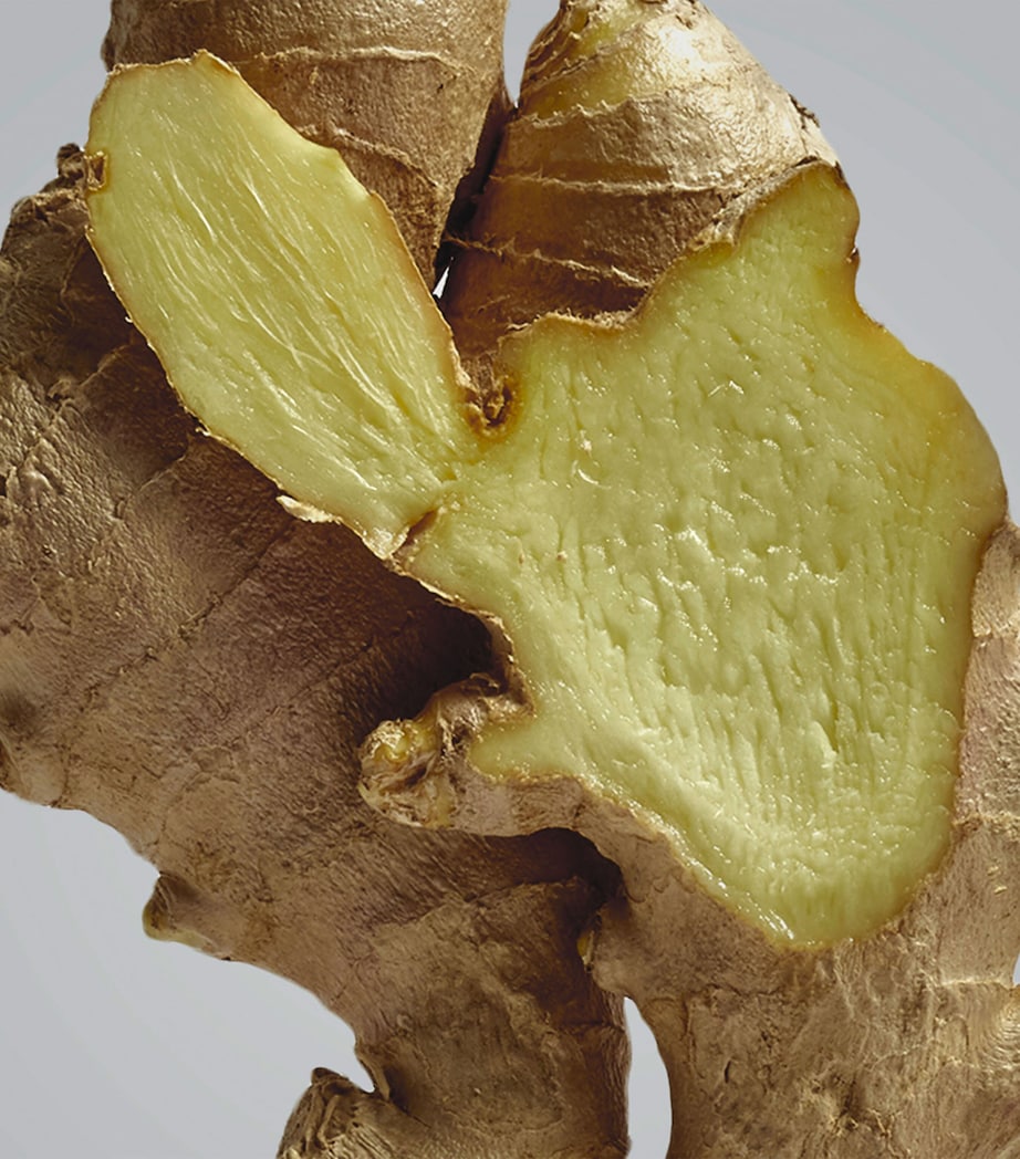 Ginger Outdoor Candle NO COLOUR Image 3