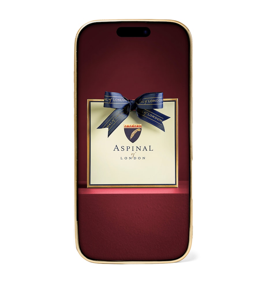 Leather iPhone 16 Pro Case CAPRI BLUE Image 2