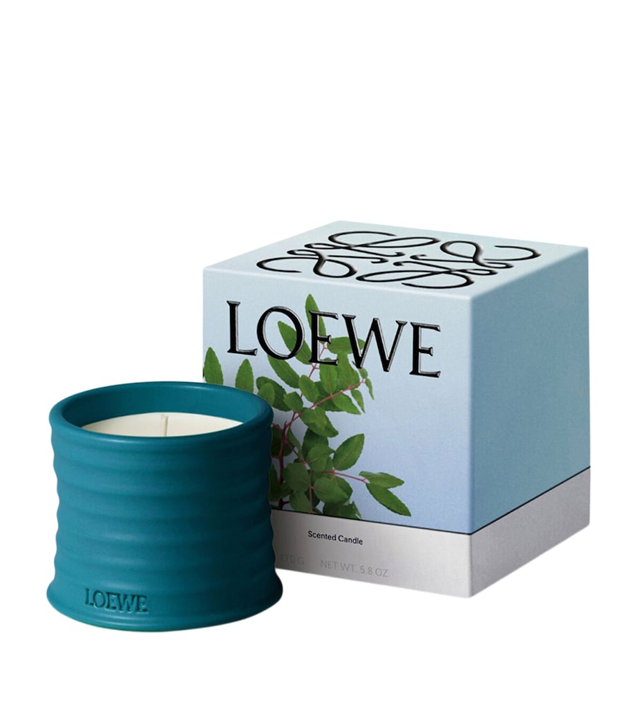 Small Incense Scented Candle NO COLOUR Image 2