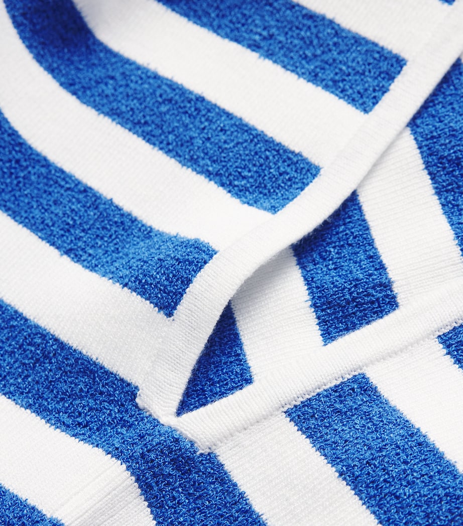 Stripe Ari Maxi Skirt BLUE STRIPE Image 5