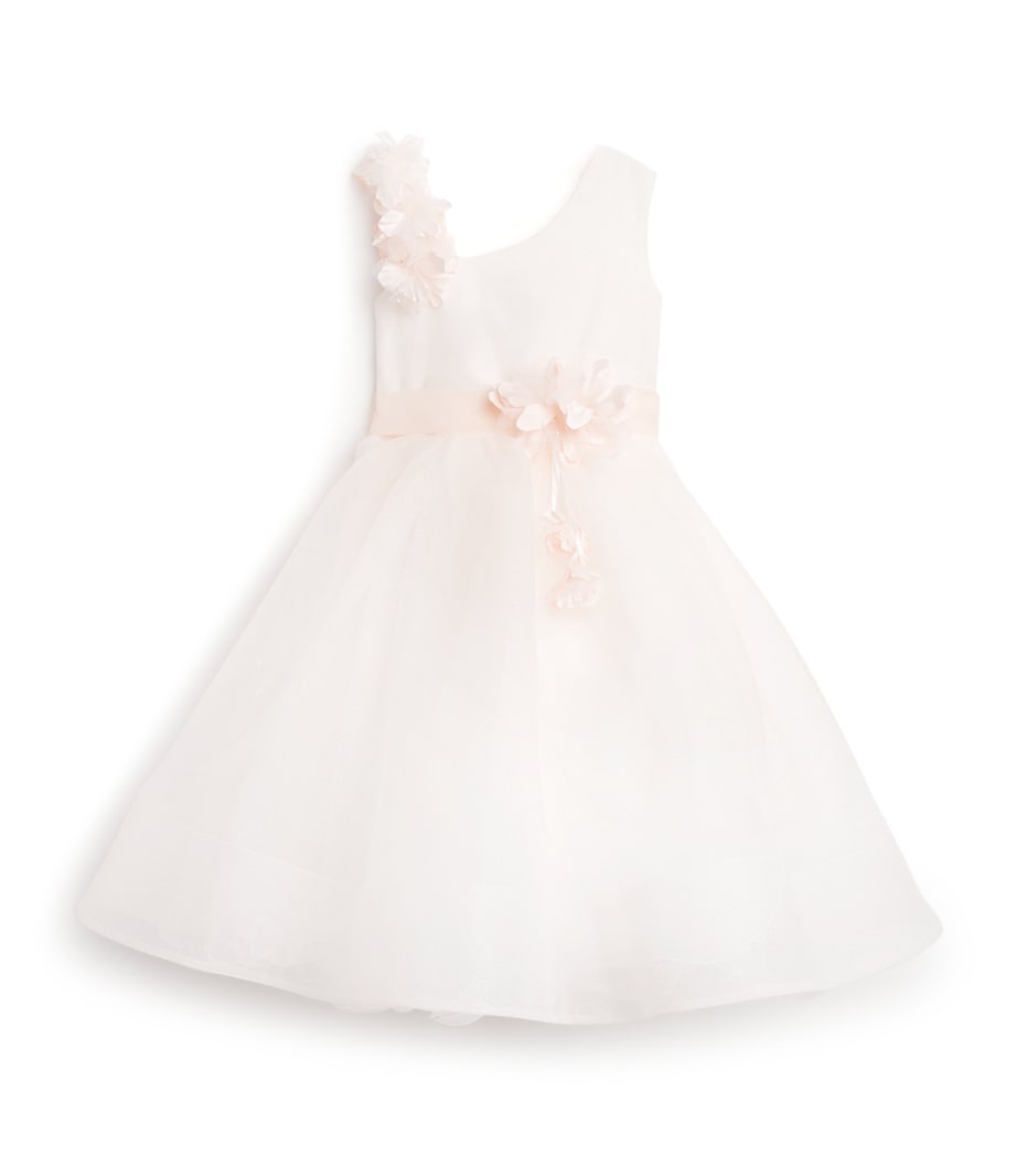 Tulle Sparkling Dress (4-14 Years) PES-PEACH Image 1