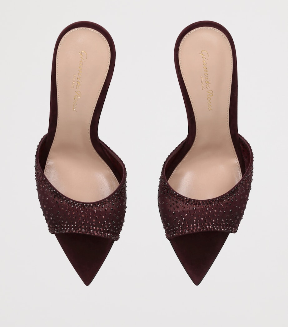 Suede Embellished Rania Mules 85 WINE Image 4