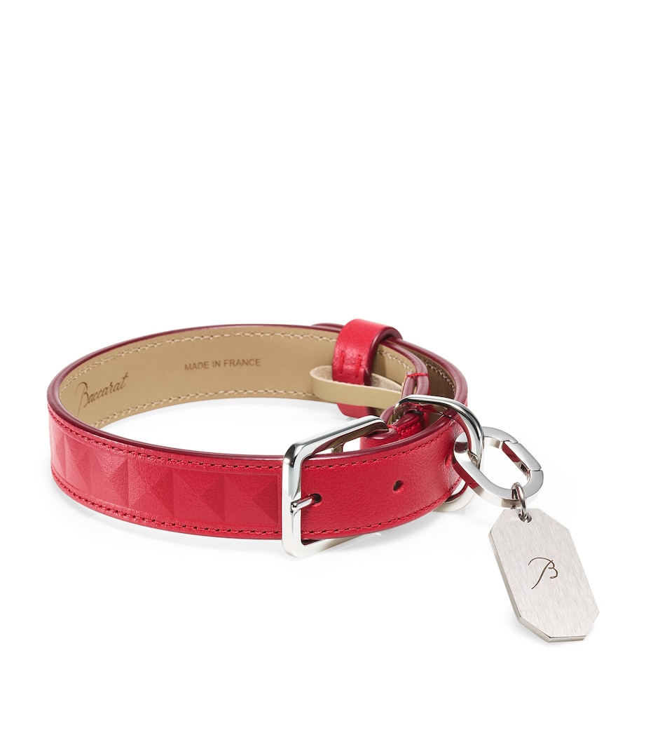 Leather Louxor Pet Collar (Medium) CLEAR Image 1