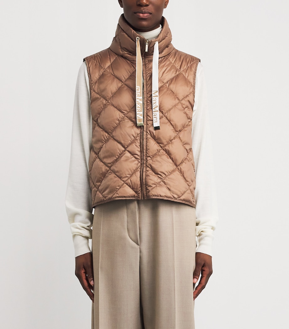 The Cube Down-Padded Gilet BROWN Image 3