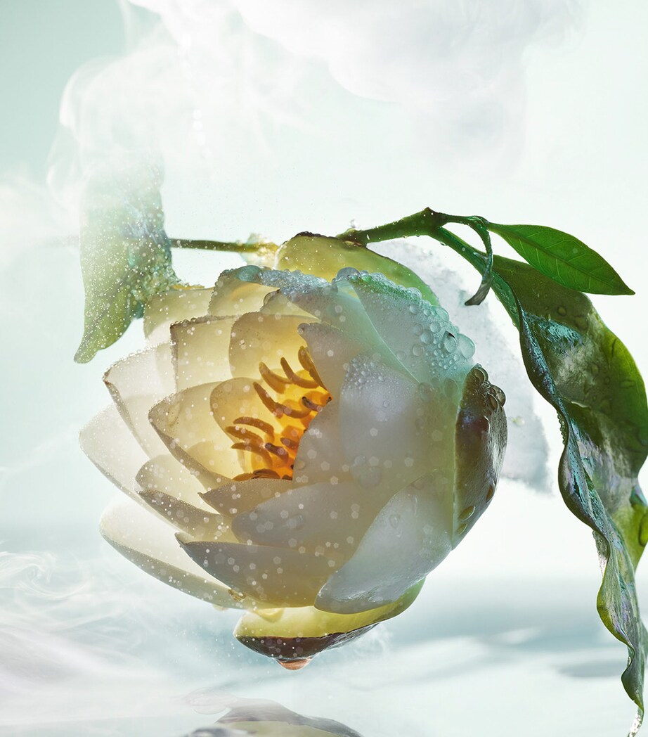 Pour Homme Eau de Toilette (100ml) NO COLOUR Image 4