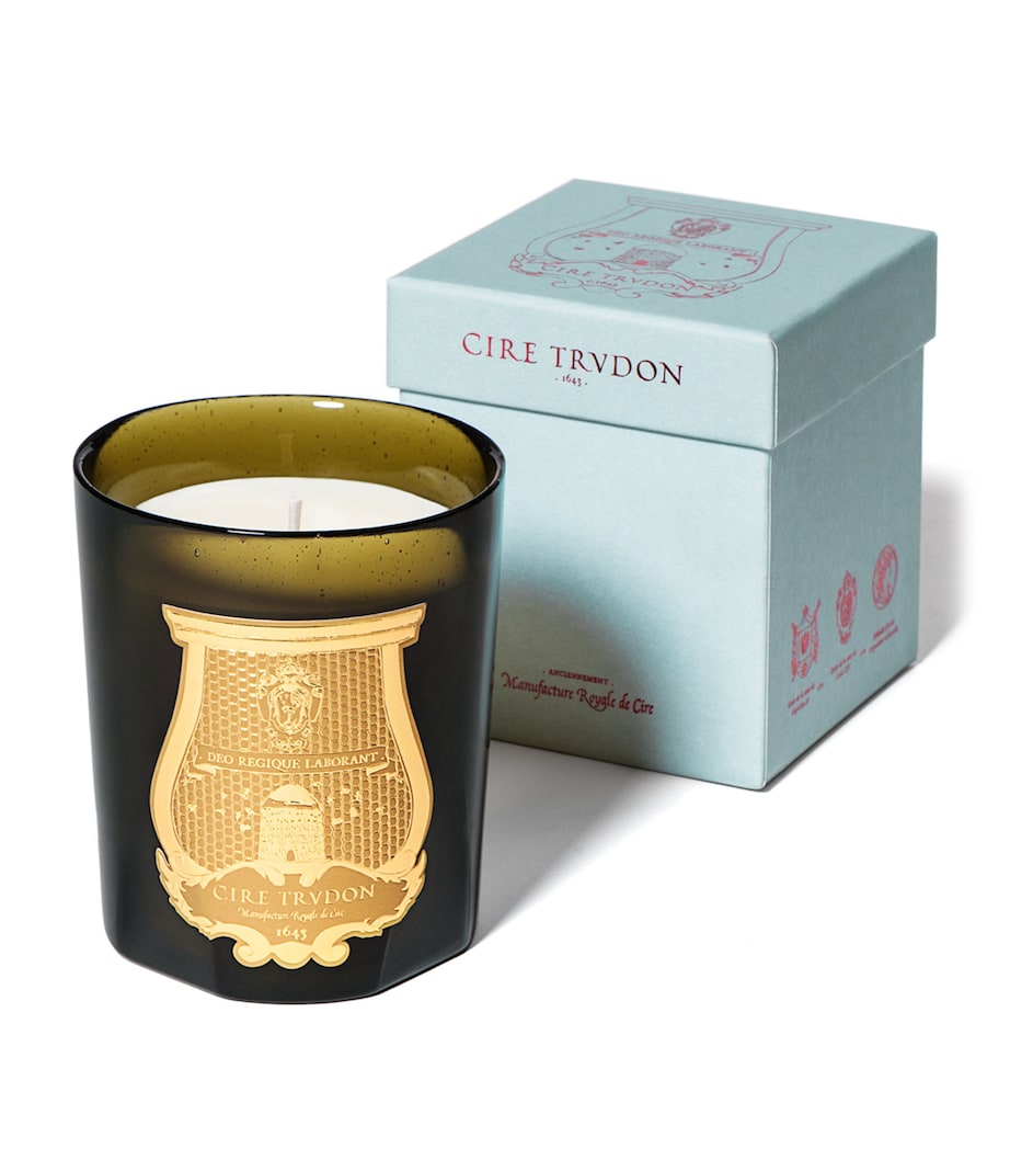 Madeleine Candle GREEN Image 1