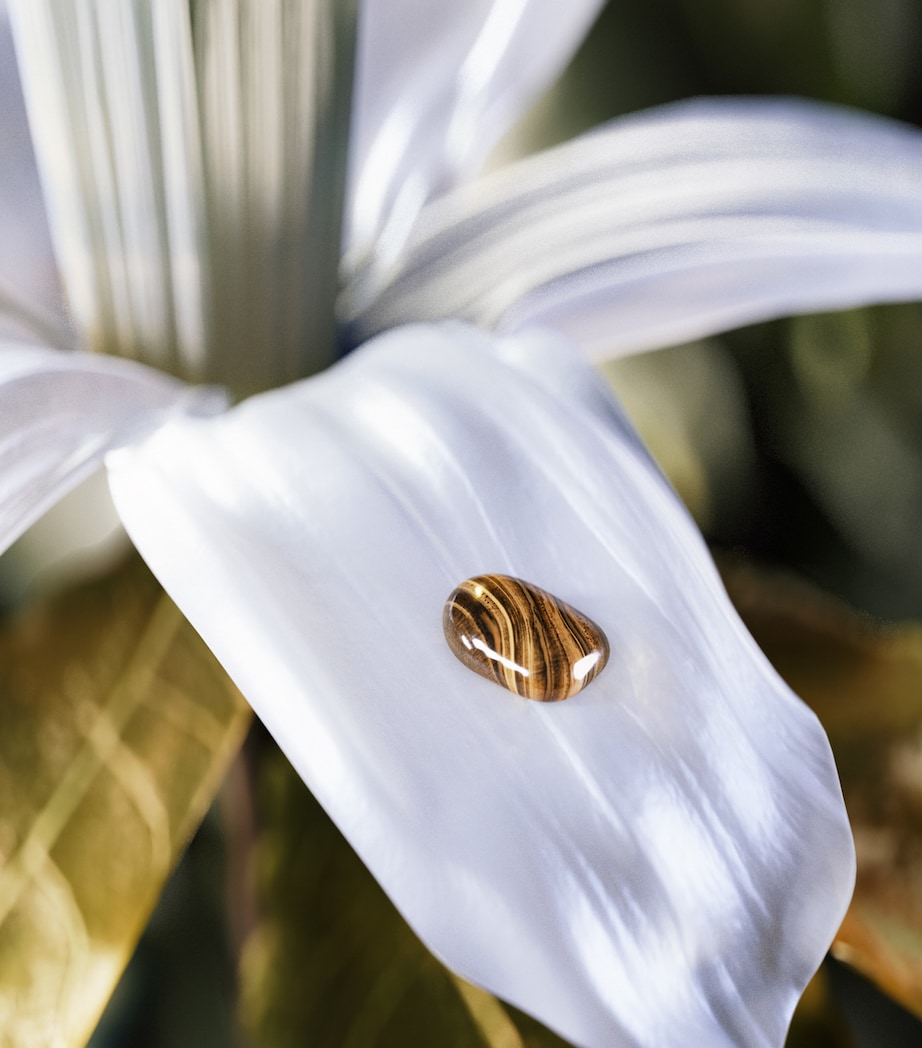 Le Gemme Tygar Eau de Parfum NO COLOUR Image 4