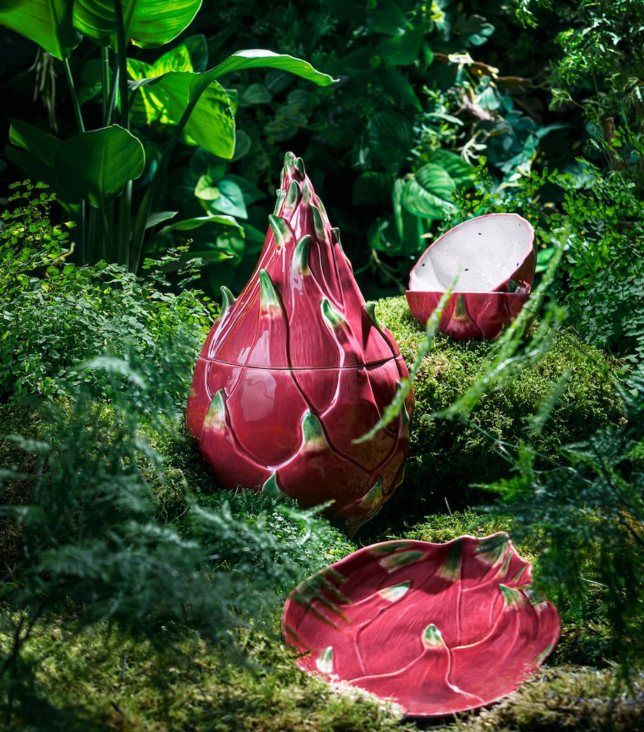 Pitaya Box RED Image 2