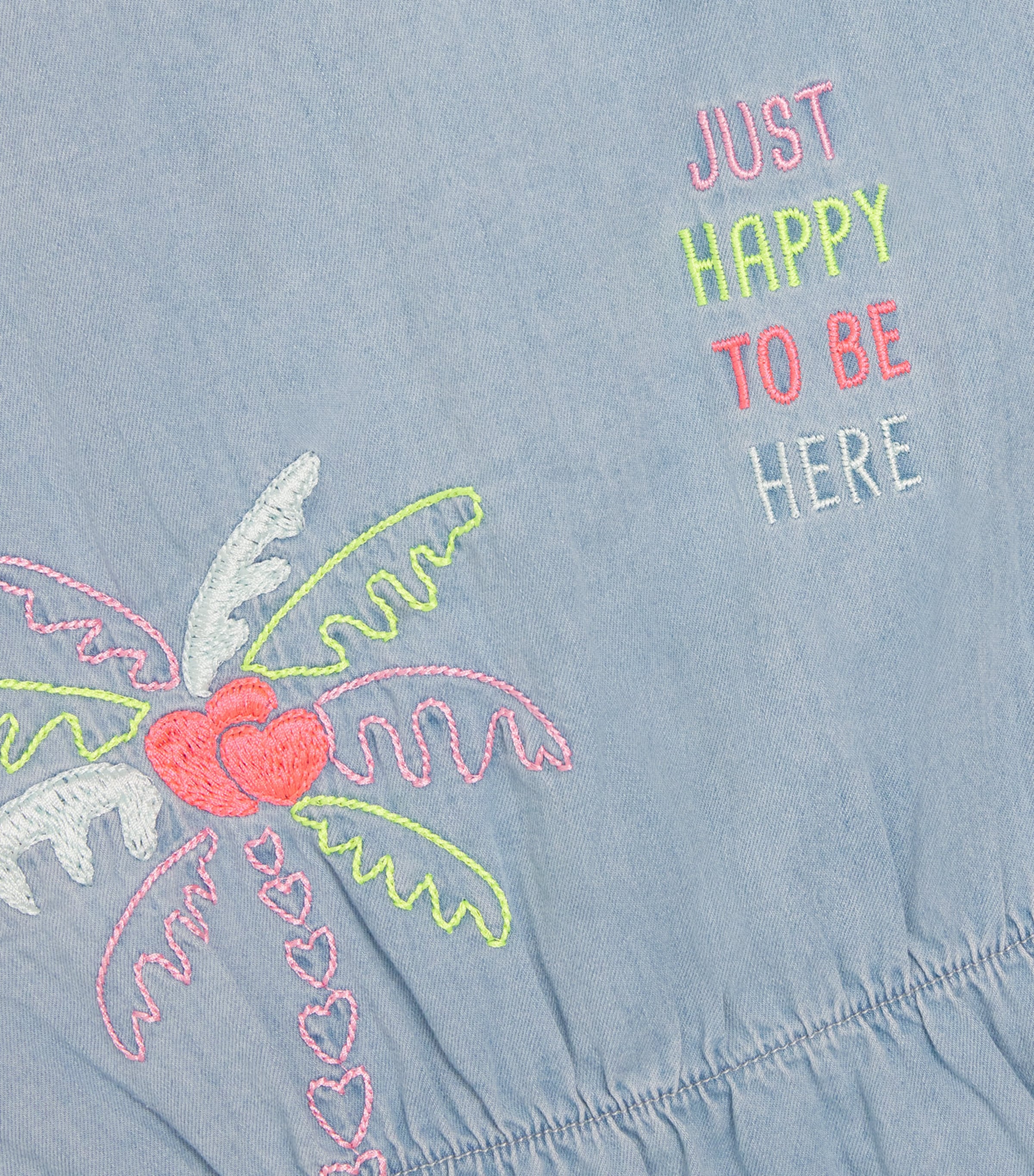 Denim Embroidered Dress (2-12 Years) Z04 BLEACH Image 3