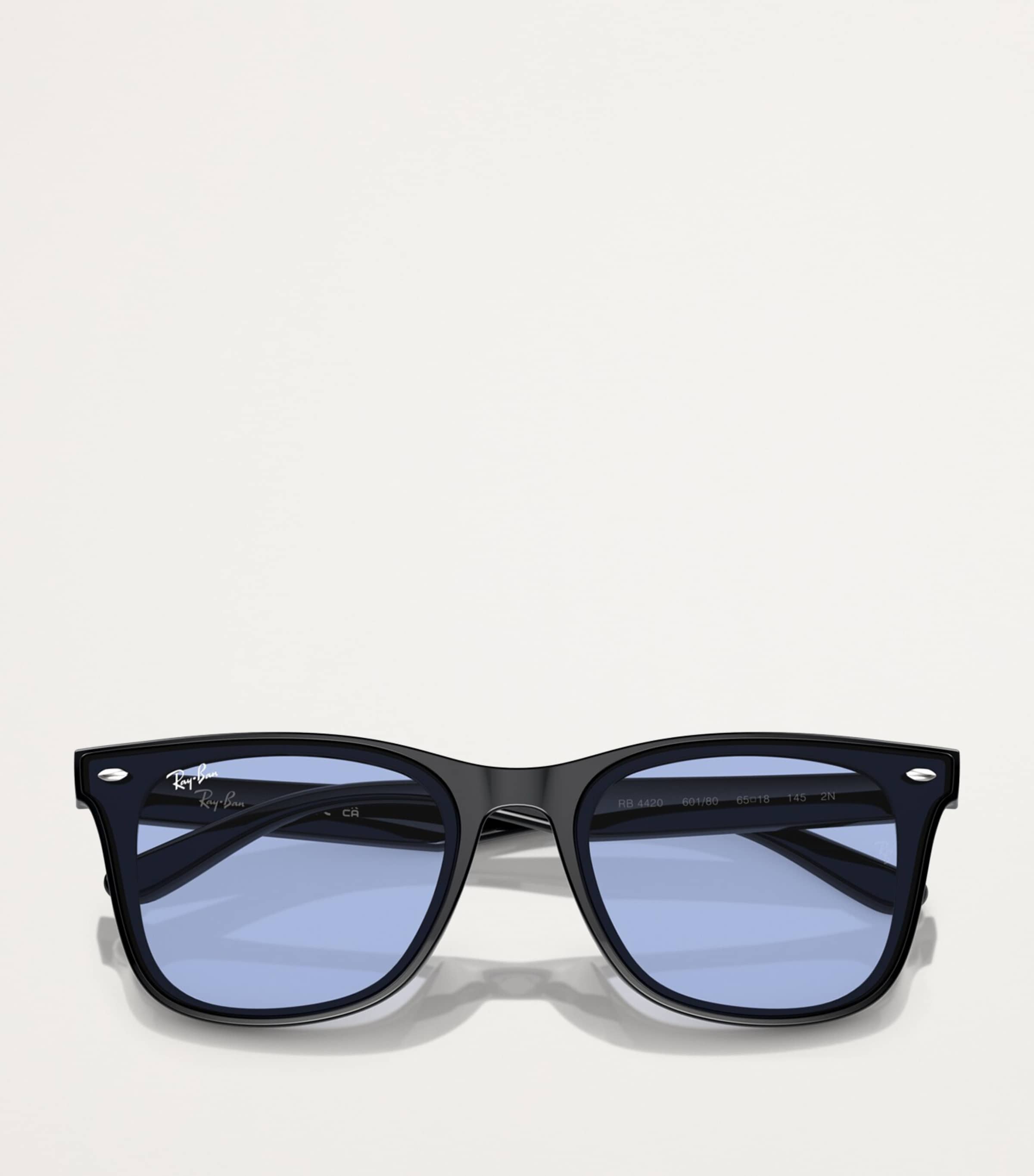 Injected RB4420 Sunglasses 601/80 Image 5