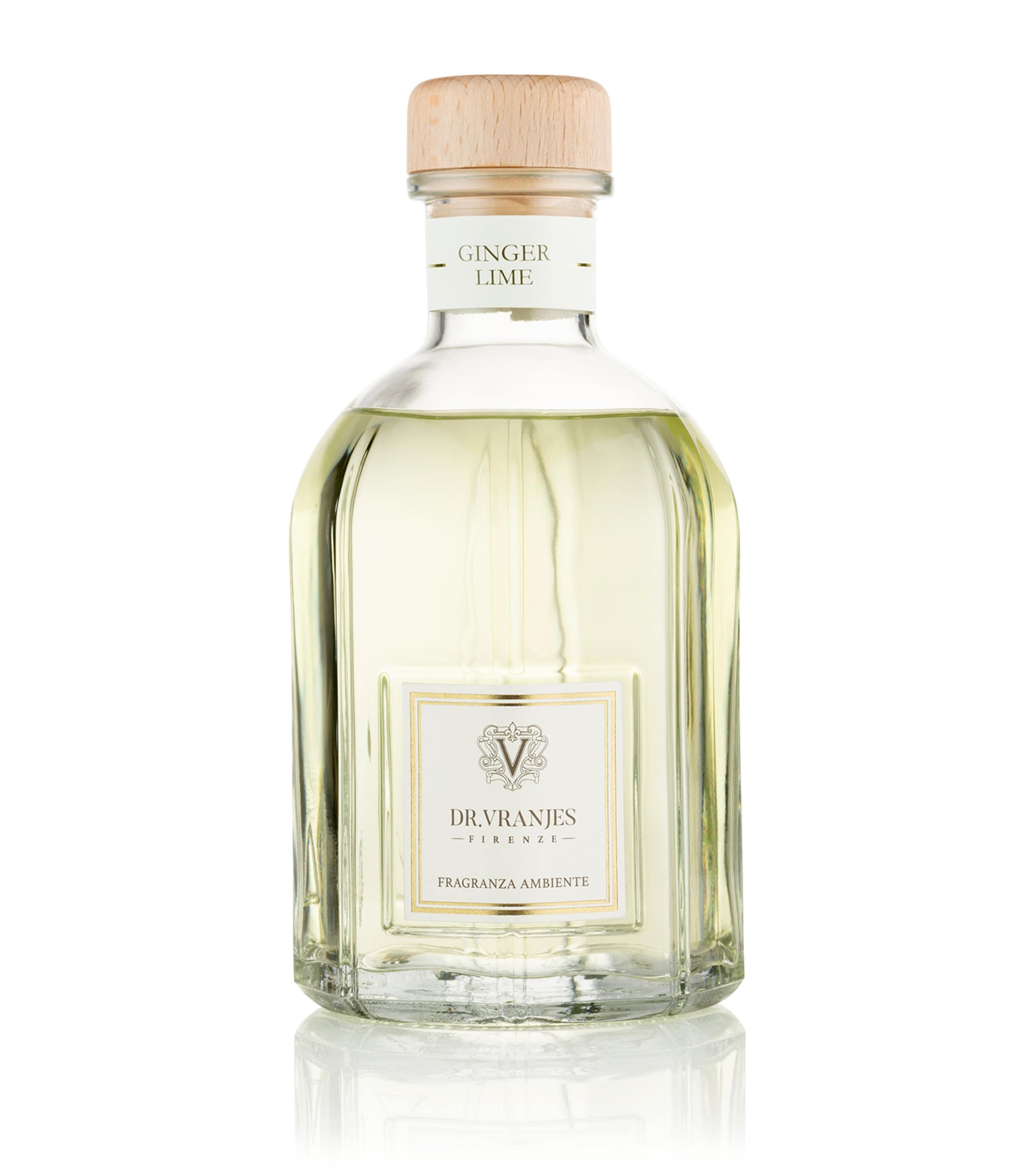 Dr Vranjes Firenze Ginger Lime Diffuser In Transparent