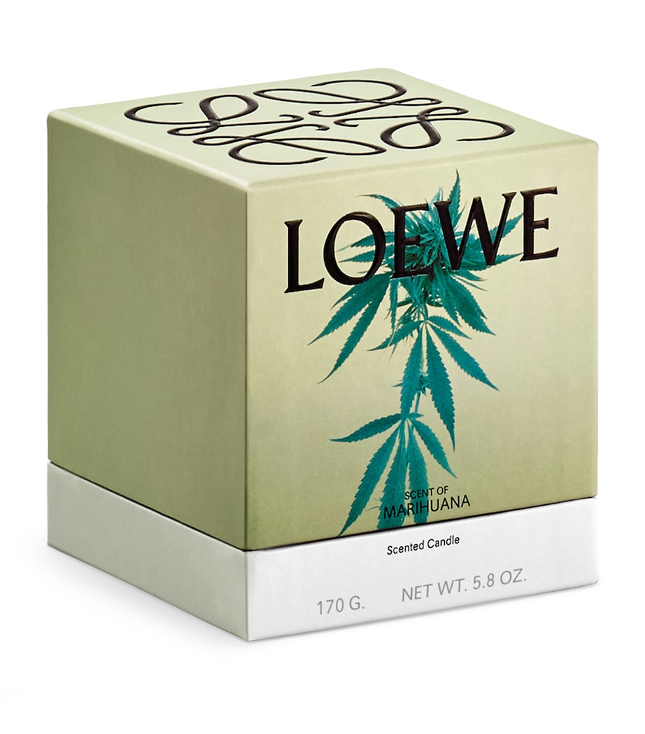 Marihuana Candle (170g) NO COLOUR Image 5