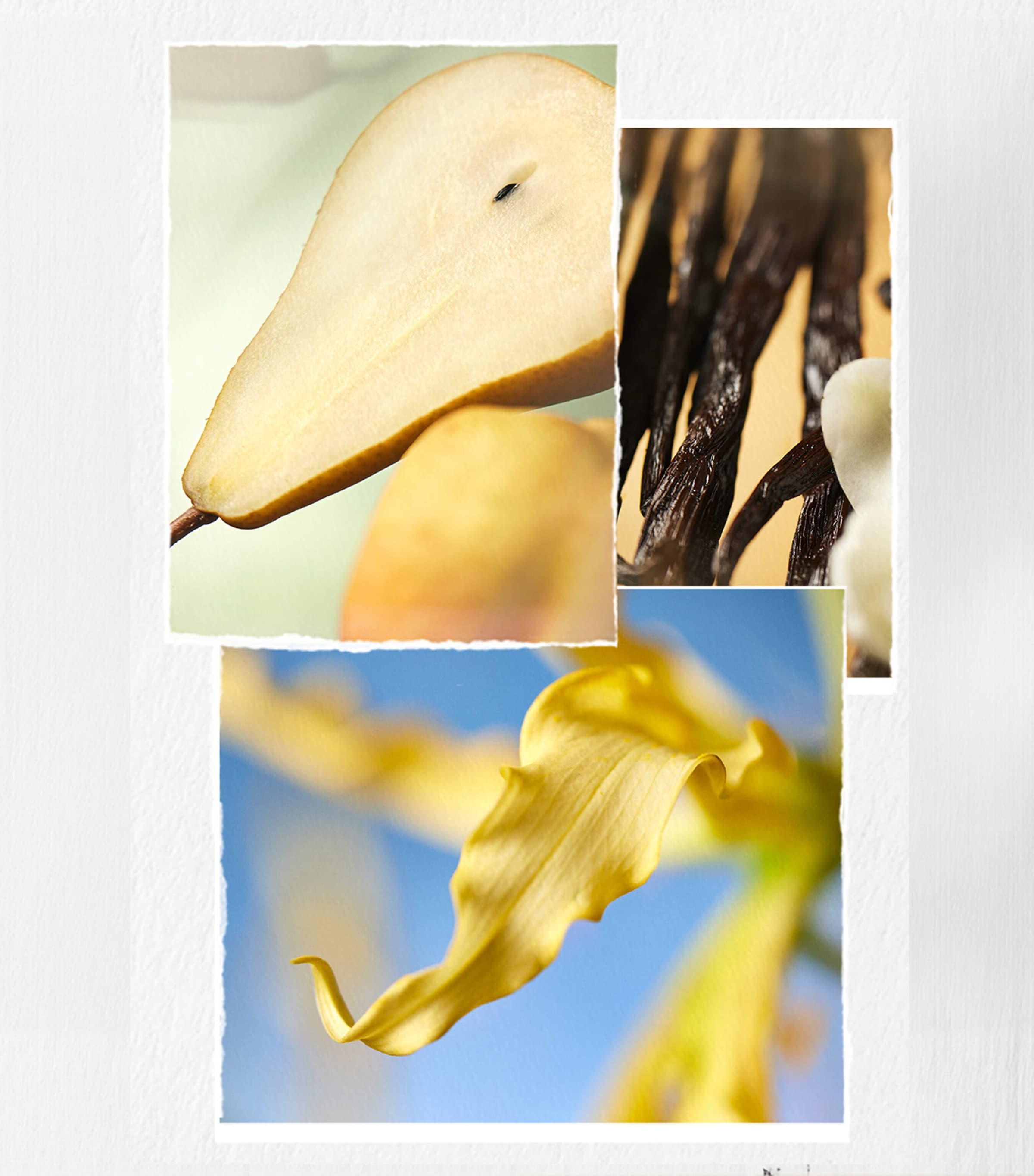 Nanoworks Gold Conditioner (266ml) NO COLOUR Image 6