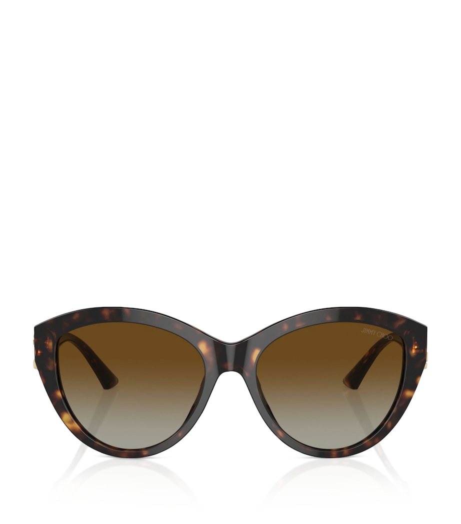 Acetate JC5007 Sunglasses 5002T5 Image 1
