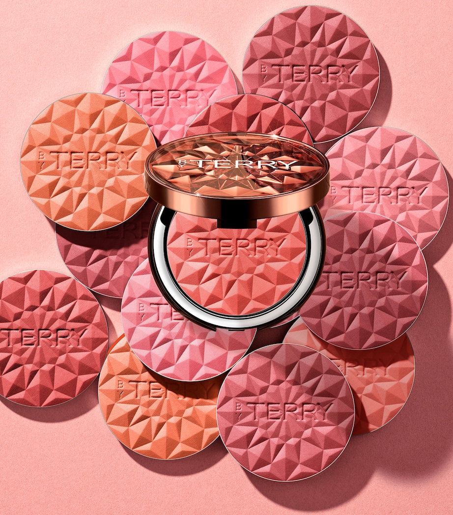 Tea to Tan Blush Powder N3 Image 4