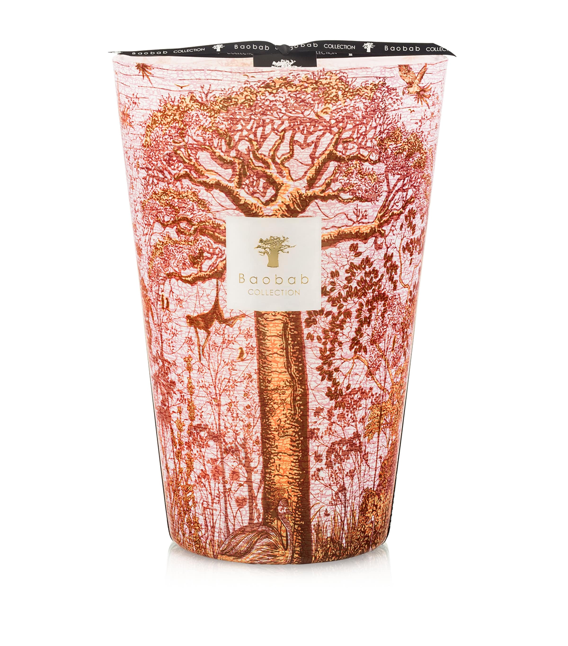 Baobab Collection Woroba Candle In Multi