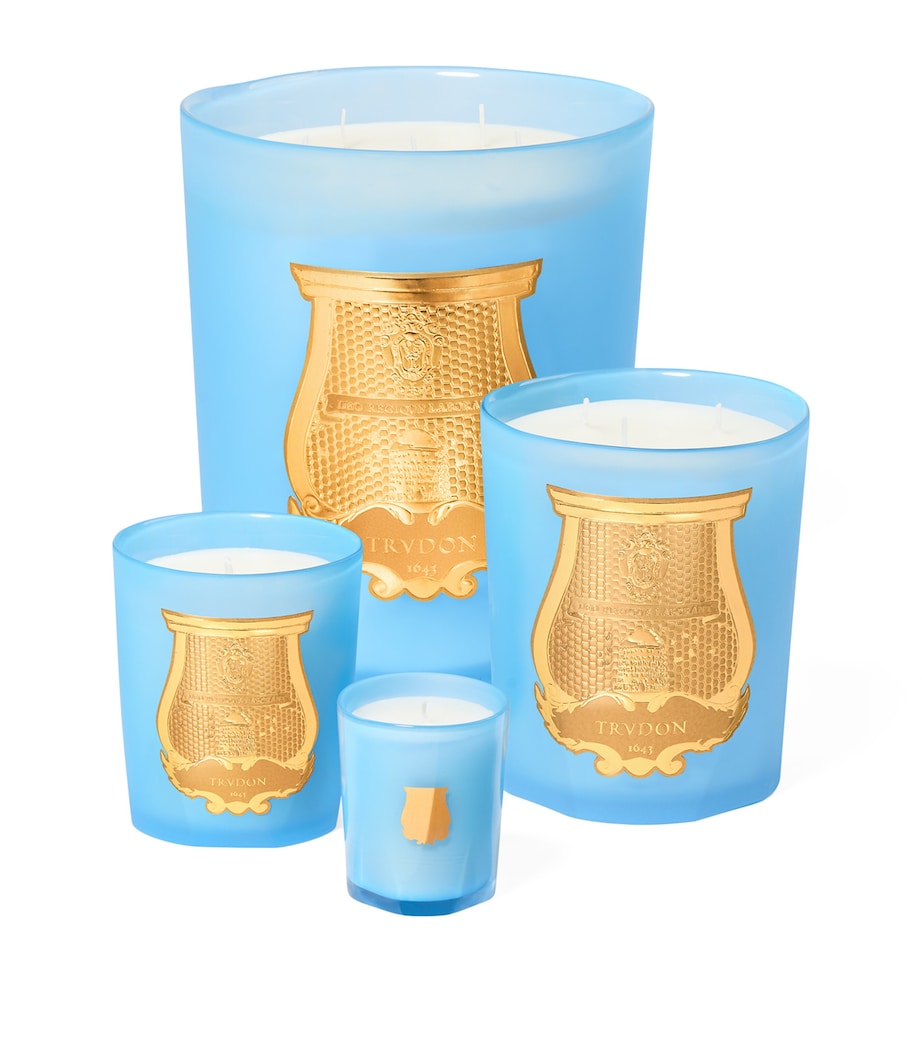 Great Versailles Scented Candle (2.8kg) BLUE Image 2