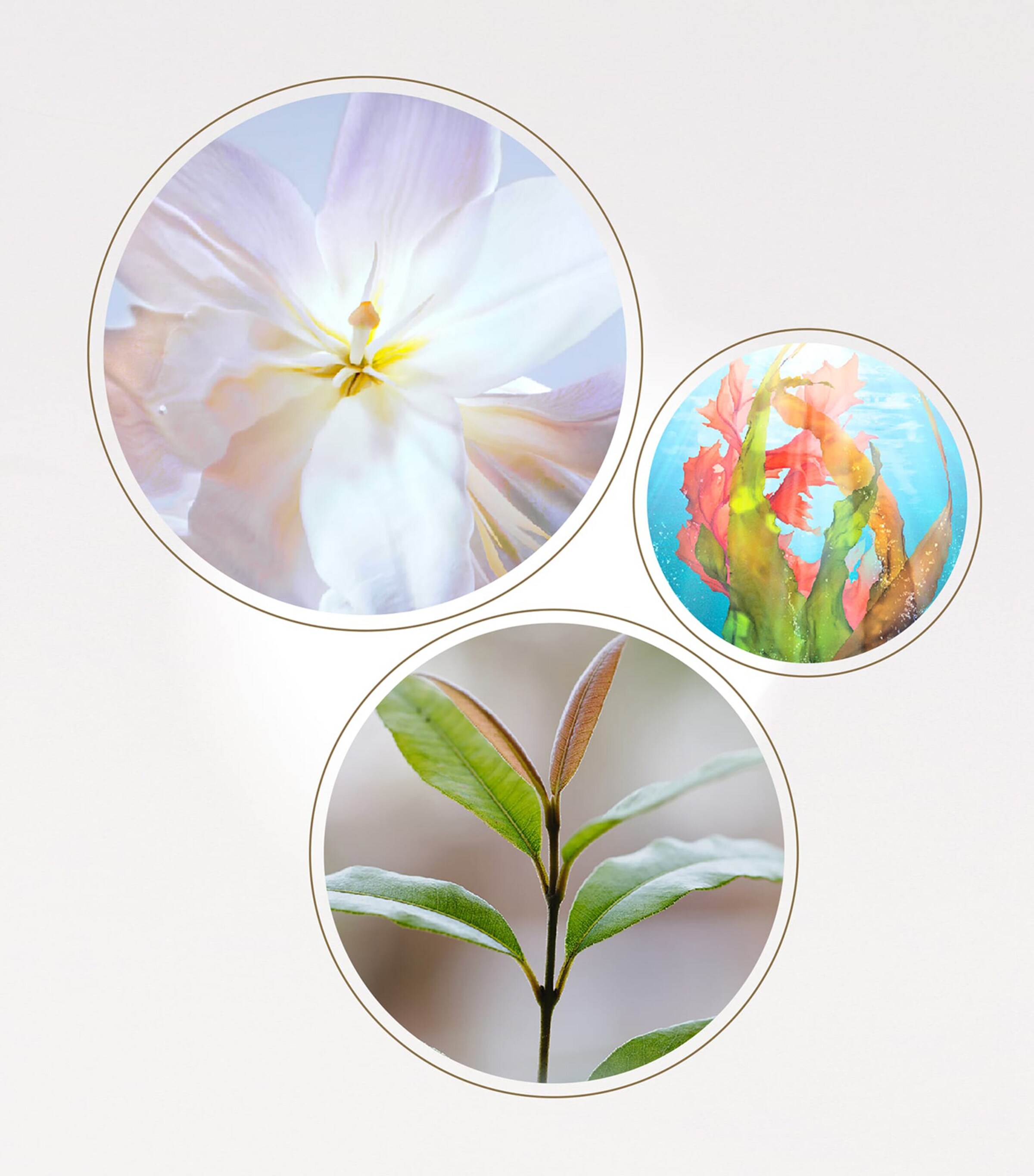 The Serum (75ml) - Refill NO COLOUR Image 5