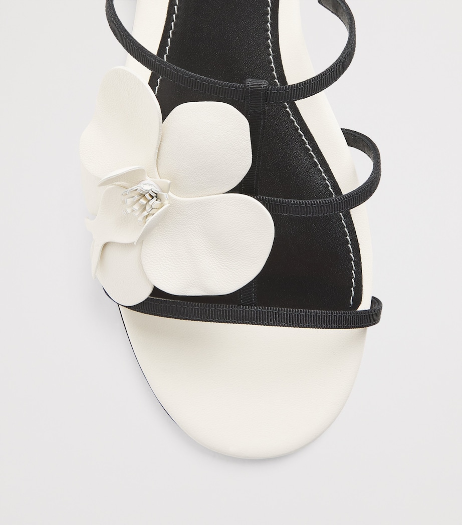 Leather Orchid Sandals MACA/MACADAMIA Image 5
