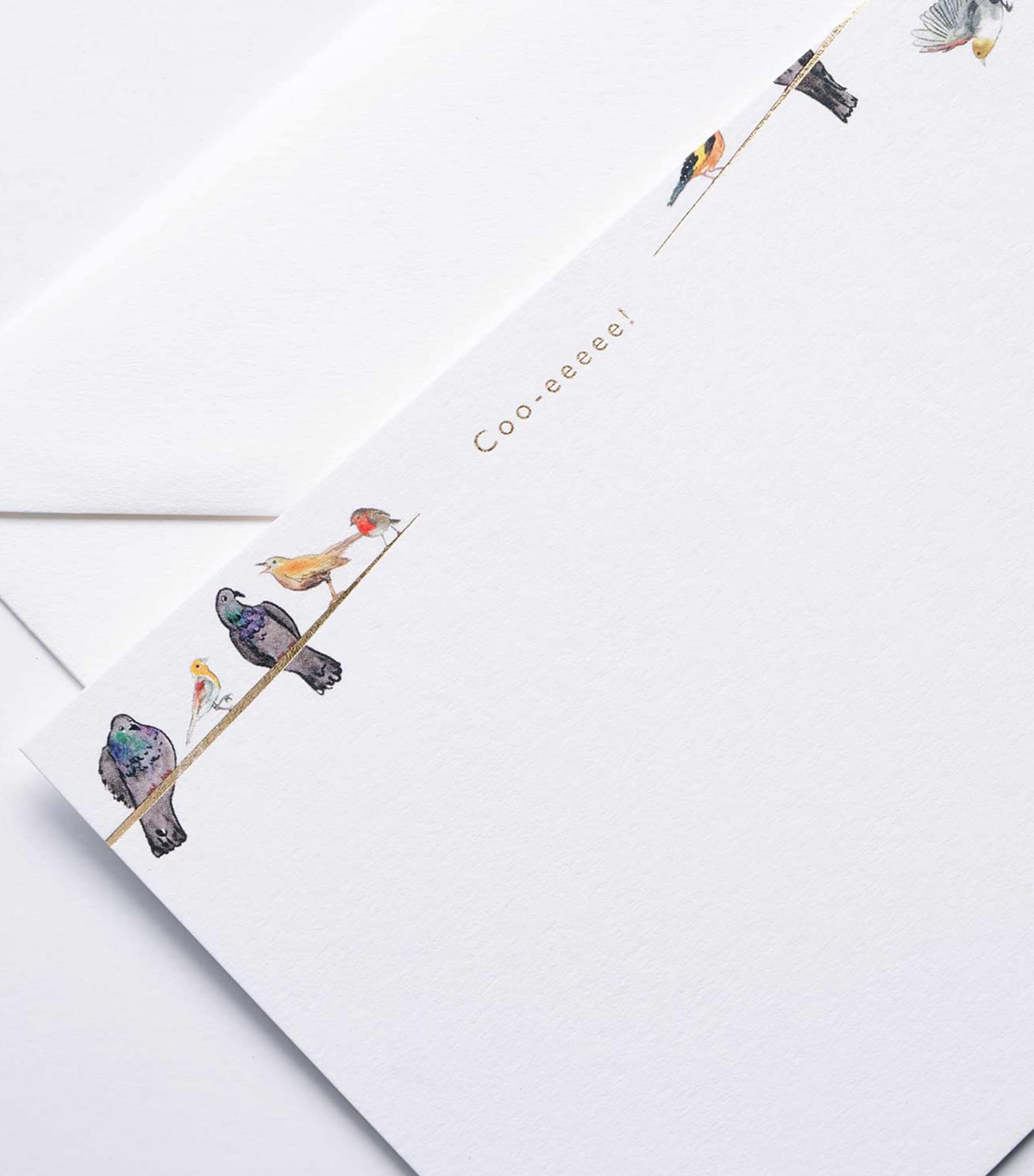 Coo-eeeee A6 Notecards (Set of 12) MULTI Image 2