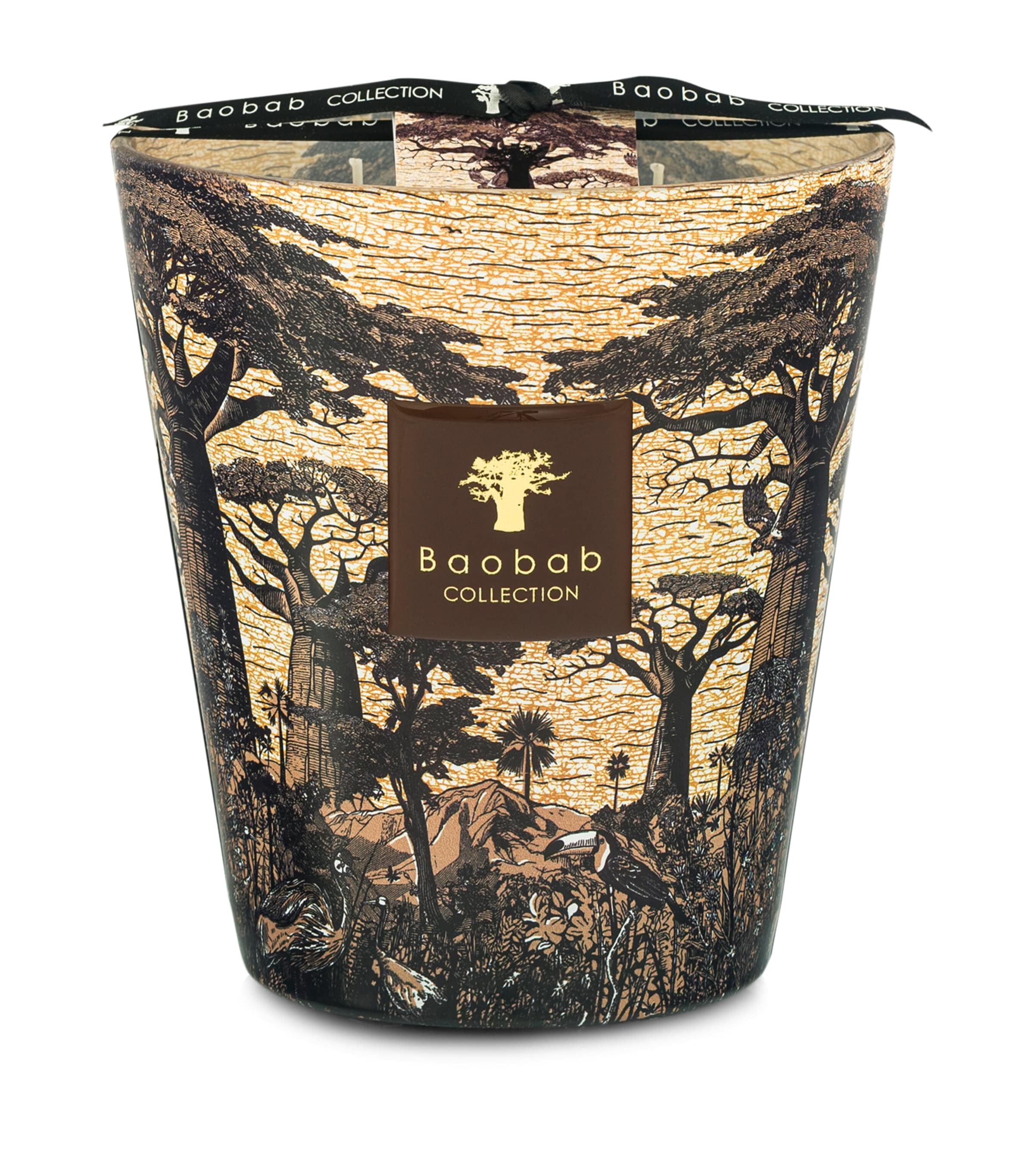 Baobab Collection Sacred Trees Mankono Candle In Brown