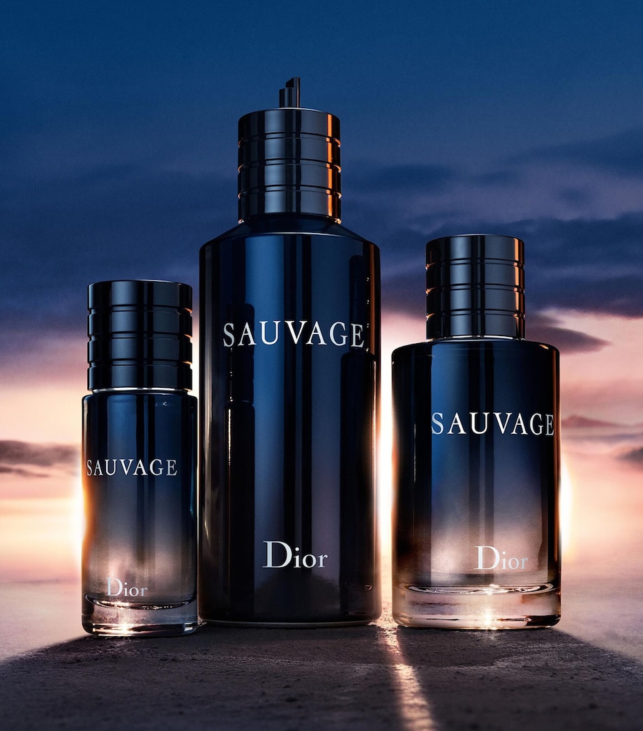 Logo Eau Sauvage Parfum Christian Dior EAU SAUVAGE Parfum Vintage