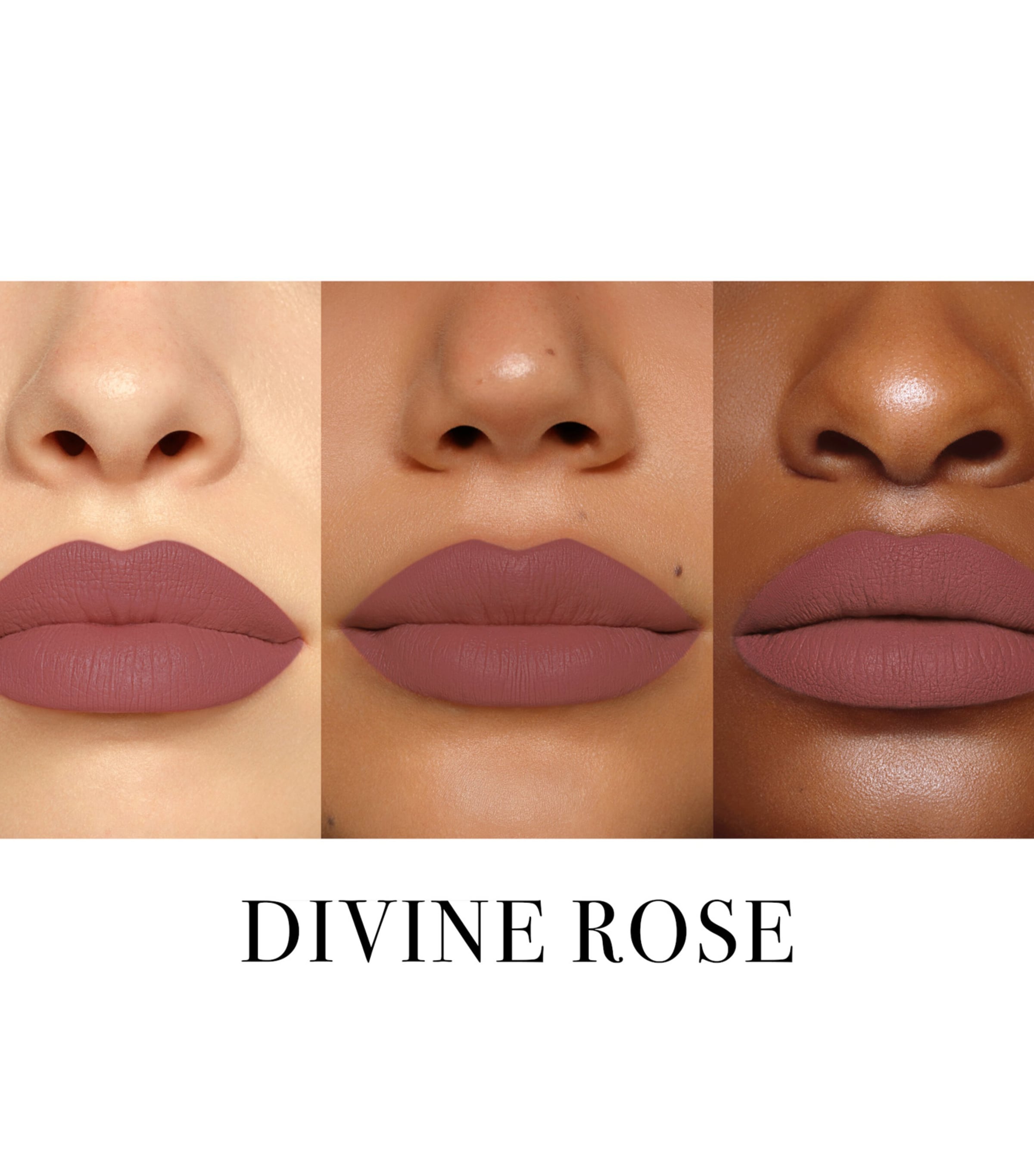 Legendary Longwear Lip Liner DIVINE ROSE Image 2